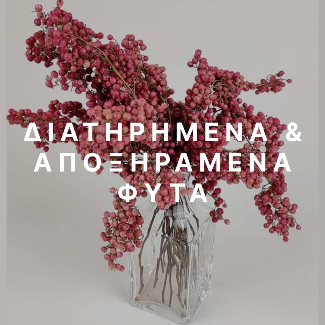 Αρχική Σελίδα
